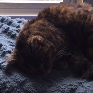 Meet your Posher, Donna